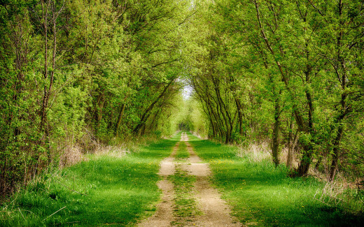 960610 (a): :2560x1600